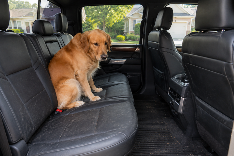 Backseat without PawLiner showing footwell gap and sloped seat